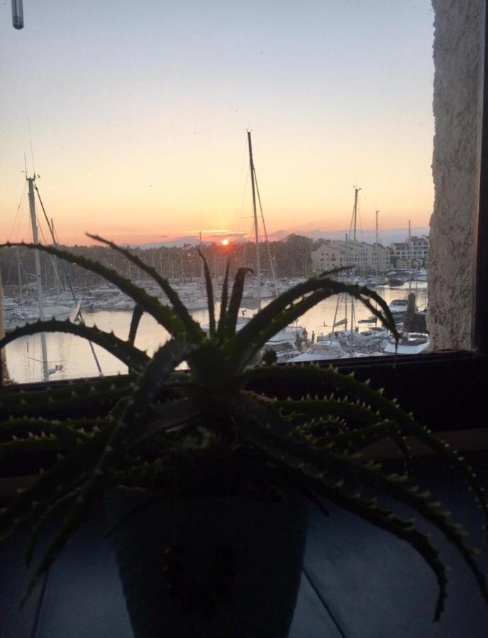 Petit Cocon Magnifique Vue Sur Marina Dans Le Golfe De Saint Tropez Apartment Коголен Екстериор снимка