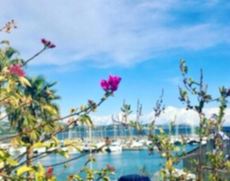 Petit Cocon Magnifique Vue Sur Marina Dans Le Golfe De Saint Tropez Apartment Коголен Екстериор снимка