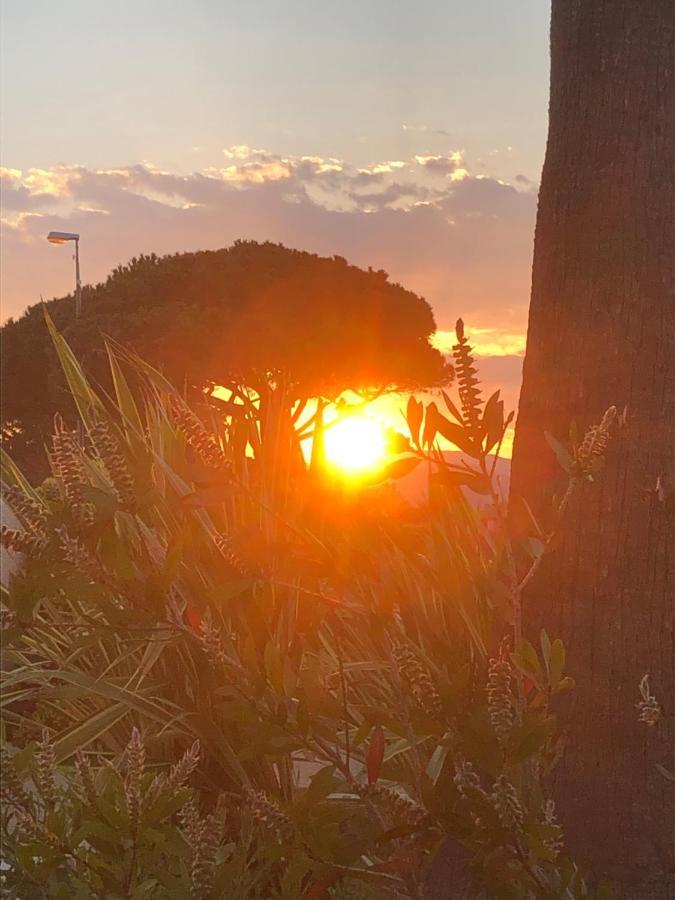 Petit Cocon Magnifique Vue Sur Marina Dans Le Golfe De Saint Tropez Apartment Коголен Екстериор снимка